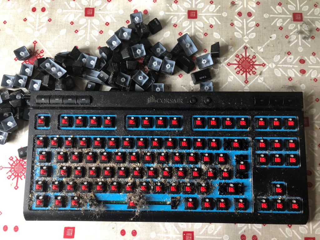 keys are removed from the keyboard and the true horror of all the mess underneath is revealed